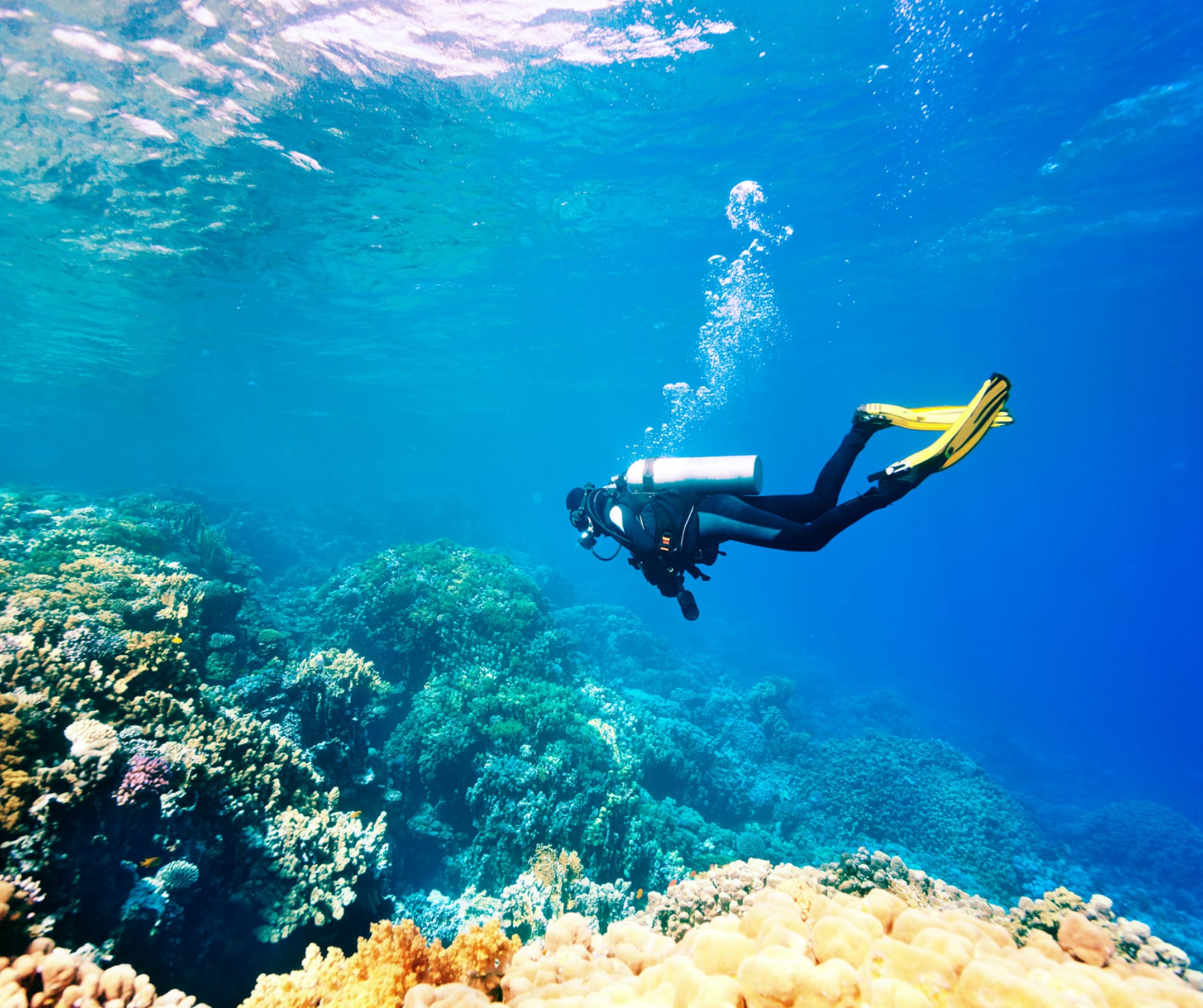 Discover the best diving in Belize, from the iconic Great Blue Hole to the vibrant Belize Barrier Reef. Explore stunning marine life and world-class dive sites