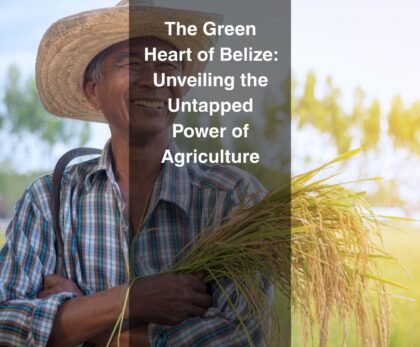 From expansive banana plantations to locally grown vegetables and cacao farms, agriculture remains a cornerstone of Belizean life.