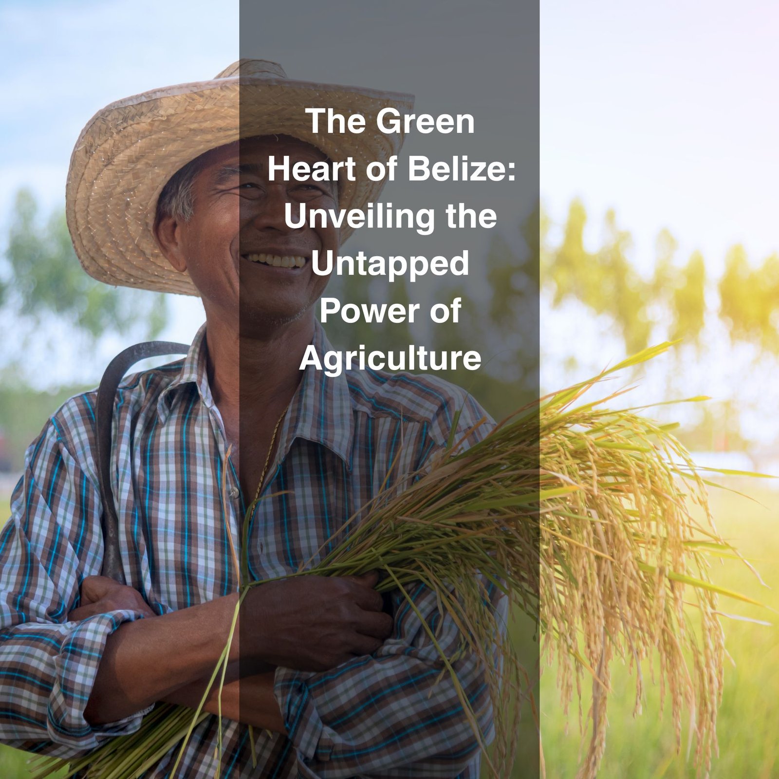 From expansive banana plantations to locally grown vegetables and cacao farms, agriculture remains a cornerstone of Belizean life.