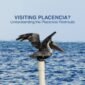 Understanding the Placencia Peninsula The Placencia Peninsula is made up of four main villages, each with its own unique character. Here's a quick breakdown as you drive south from the mainland: