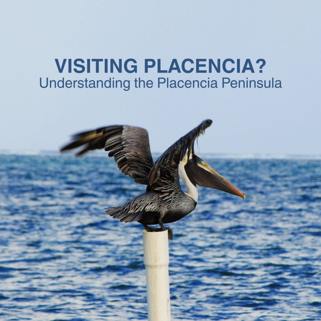 Understanding the Placencia Peninsula The Placencia Peninsula is made up of four main villages, each with its own unique character. Here's a quick breakdown as you drive south from the mainland: