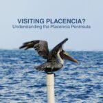 Understanding the Placencia Peninsula The Placencia Peninsula is made up of four main villages, each with its own unique character. Here's a quick breakdown as you drive south from the mainland: