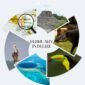 Travelers can enjoy excellent snorkeling and diving conditions along the Mesoamerican Barrier Reef, making it an ideal time for ocean adventures.