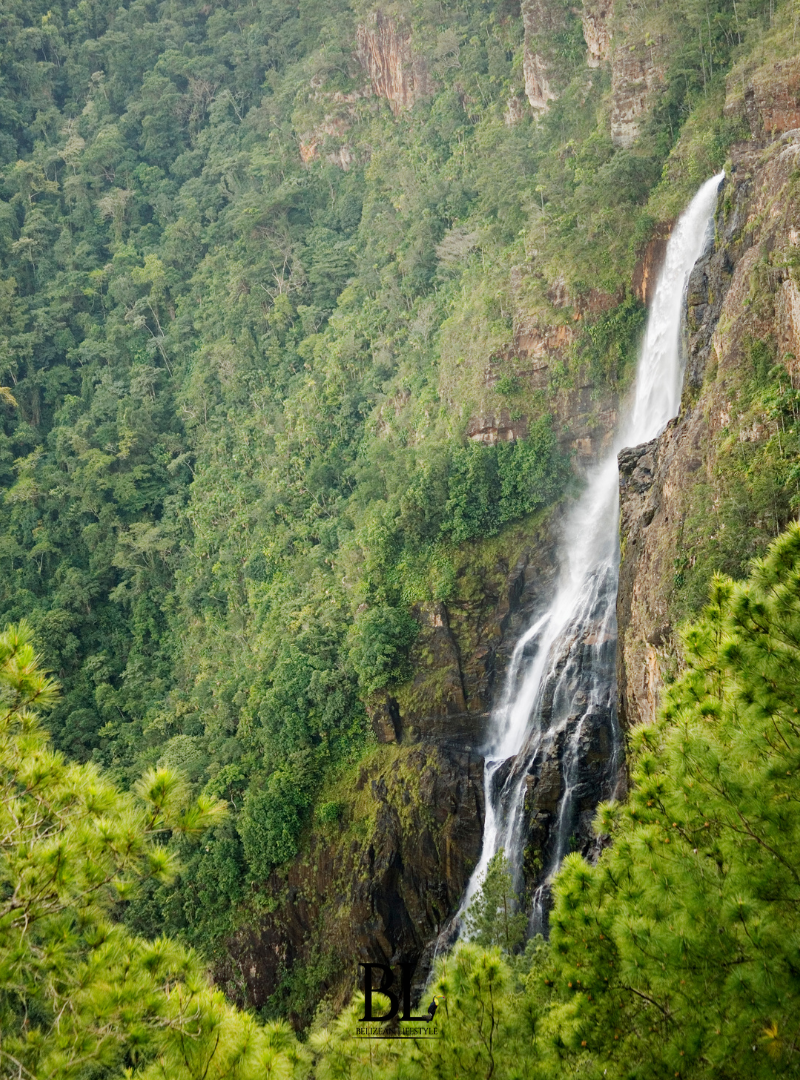 Discover Cayo District, where lush jungles, winding rivers, ancient Maya sites, and mysterious caves create an unforgettable adventure.