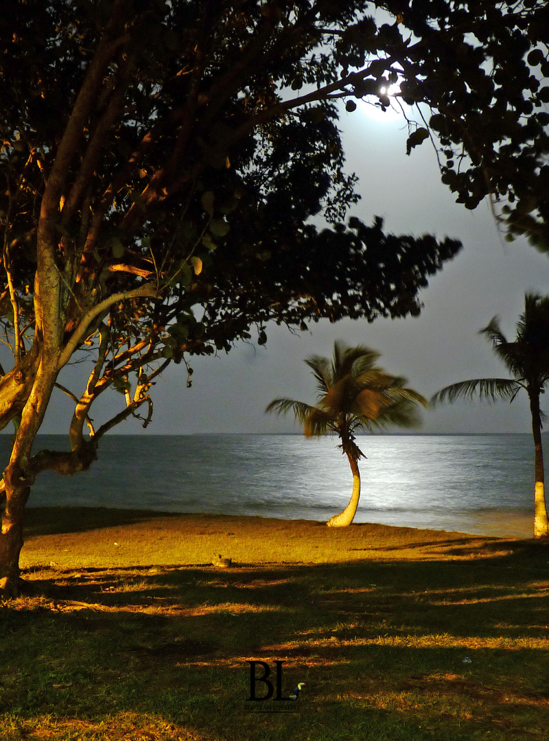 Discover Corozal District, where relaxed Caribbean charm meets rich Maya history and beautiful coastal scenery.