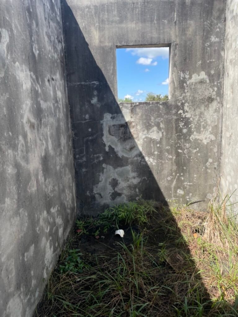 IMG_7112 Large