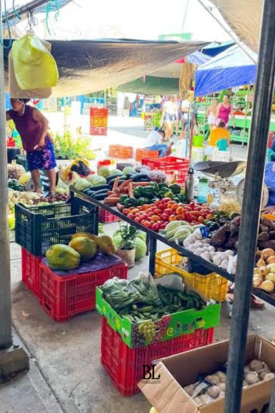 san ignac market Belizean Lifestylel